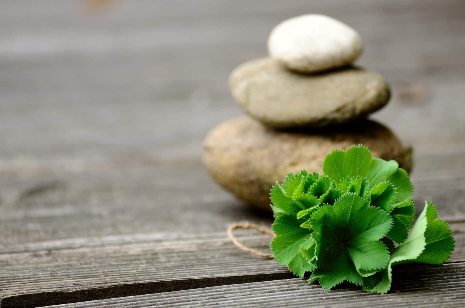 15 Low Dopamine Symptoms & Natural Remedies For Low Dopamine